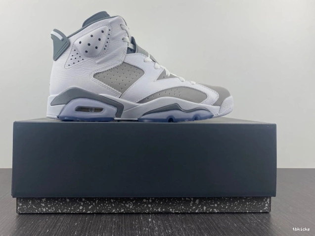 Rep TBK Cool Air CT8529-100 6 Grey Jordan 0806